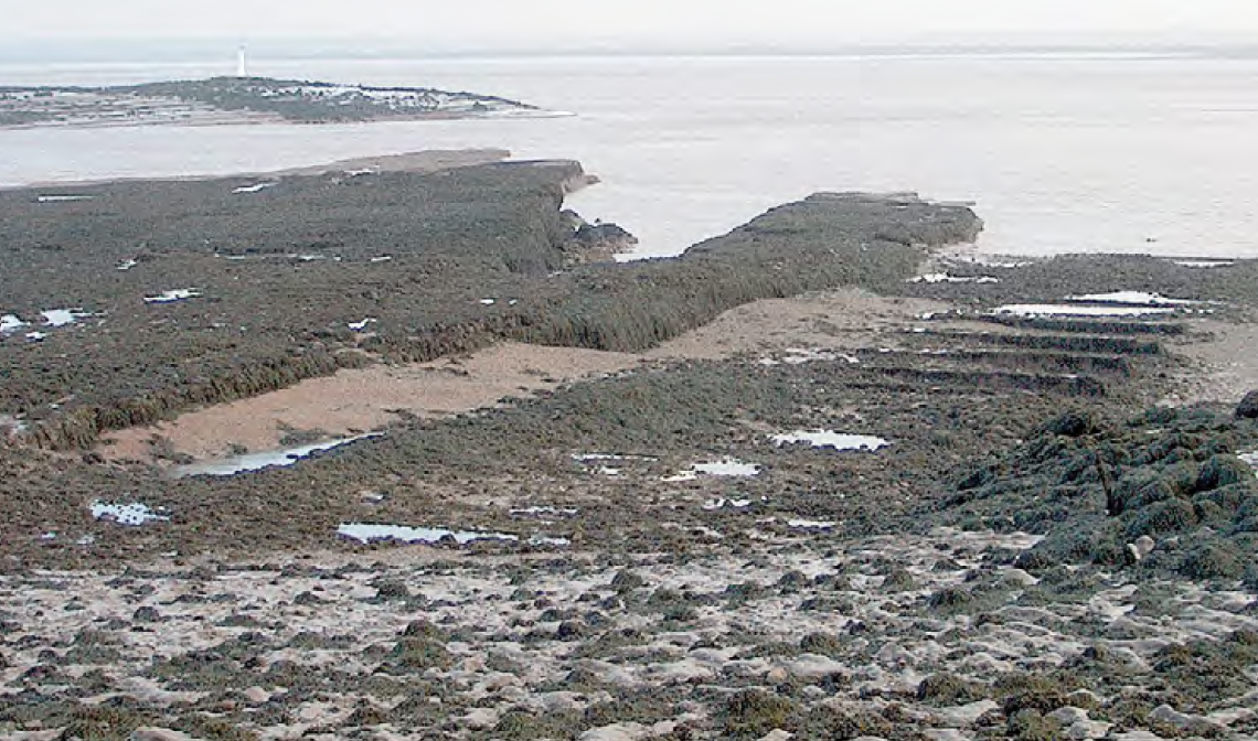Foundations of Brunel’s 19th century jetty